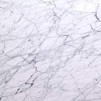 Bianco Carrara Venatino Мрамор